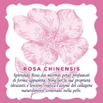 Soothing Rose Water - Intensive Moisturizing Sheet Mask