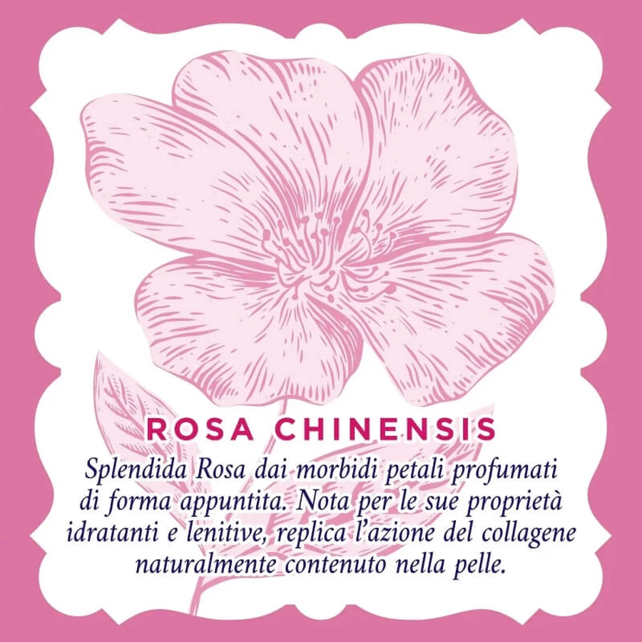 Soothing Rose Water - Intensive Moisturizing Sheet Mask