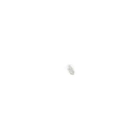 Fijador transparente de cejas de larga duración de Diego dalla Palma, n.º 25
