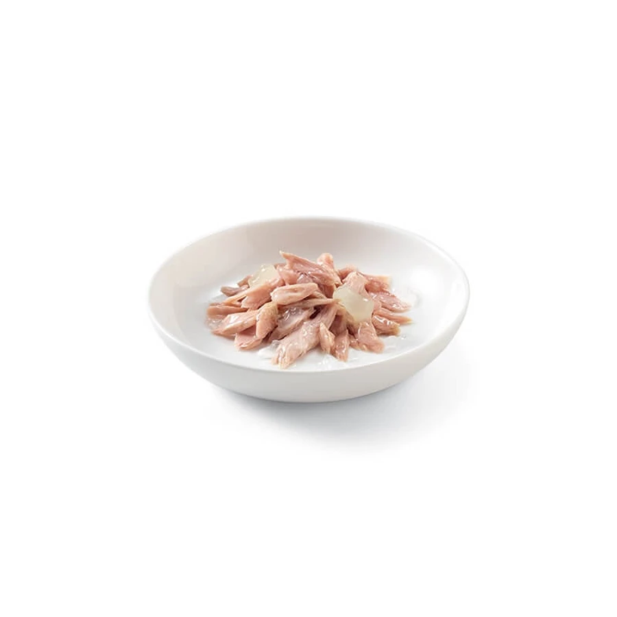 Schesir Kitten Tuna with Aloe in Jelly - Complete Food for Kittens, 140 g