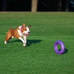 Ferplast Puller maxi - attrezzo fitness per cani di grossa taglia