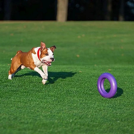 Ferplast Puller maxi - attrezzo fitness per cani di grossa taglia