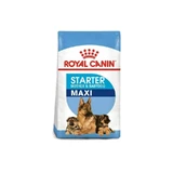 Royal Canin Starter Mother and Puppy Maxi - Pienso para madres y cachorros, 4 kg