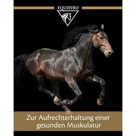 Equality Equistro excell-e poeder – spiersupplement voor paarden, veulens en pony’s, 3 kg