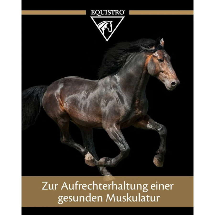 Equality Equistro excell-e poeder – spiersupplement voor paarden, veulens en pony’s, 3 kg
