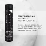 Diego dalla Palma Special Effects - Champú reparador 250 ml