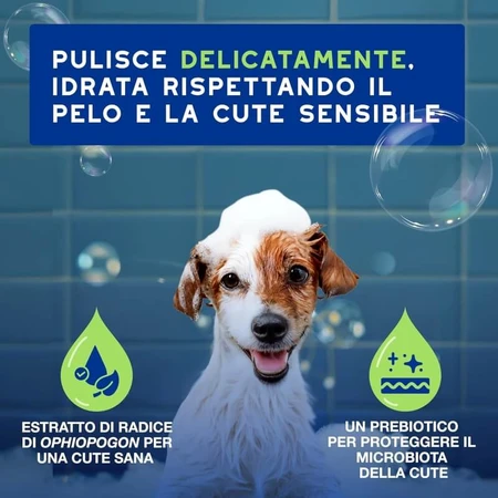 Ceva Animal Health Douxo, S.p.A. - Shampooing doux pour chiots à la peau sensible, 250 ml