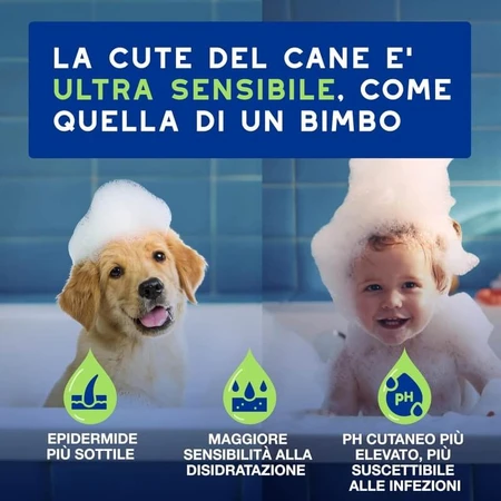 Ceva Animal Health Douxo, S.p.A. - Shampooing doux pour chiots à la peau sensible, 250 ml