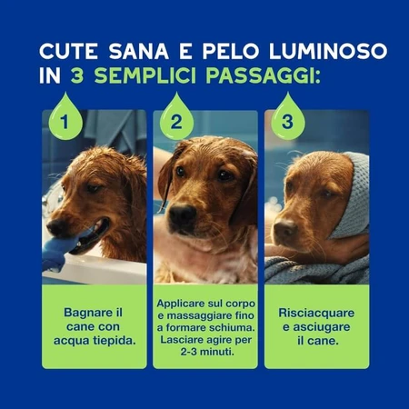 Ceva Animal Health Douxo, S.p.A. - Shampooing doux pour chiots à la peau sensible, 250 ml