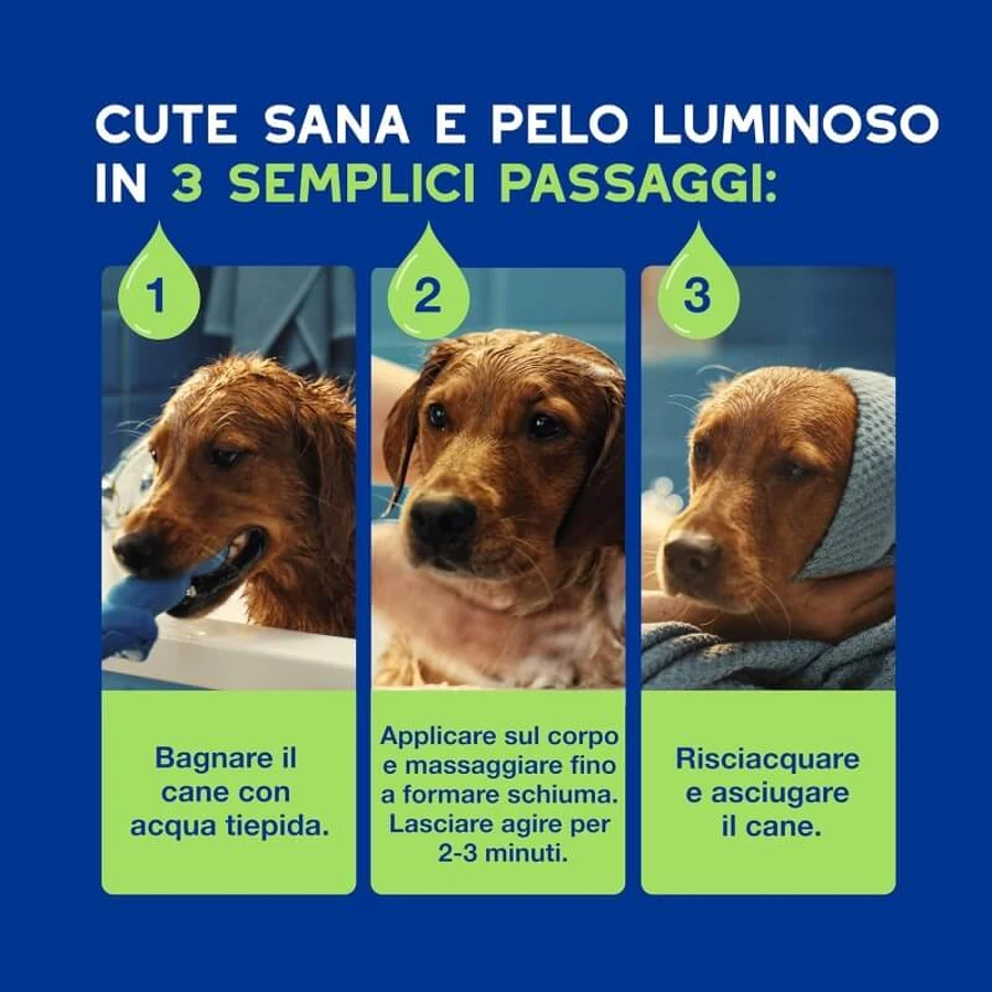 Ceva Animal Health Douxo, S.p.A. - Shampooing doux pour chiots à la peau sensible, 250 ml
