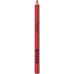 Mesauda Artist Lips - Crayon à lèvres n° 111 Cherry