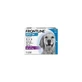Frontline Spot-On para perros (20–40 kg) - Tratamiento antiparasitario, 3 pipetas