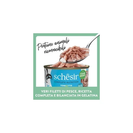 Schesir Atún con lubina - Pienso completo para gatos adultos, 6 x 50 g