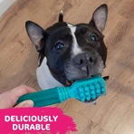 Tasty Bone Tasty Bone – Kausnack für Hunde mit frischem Minzgeschmack
