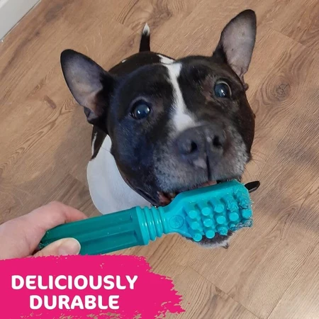 Tasty Bone Tasty Bone – Kausnack für Hunde mit frischem Minzgeschmack