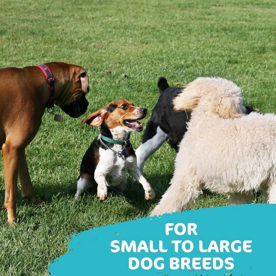 Tasty Bone Tasty Bone – Kausnack für Hunde mit frischem Minzgeschmack