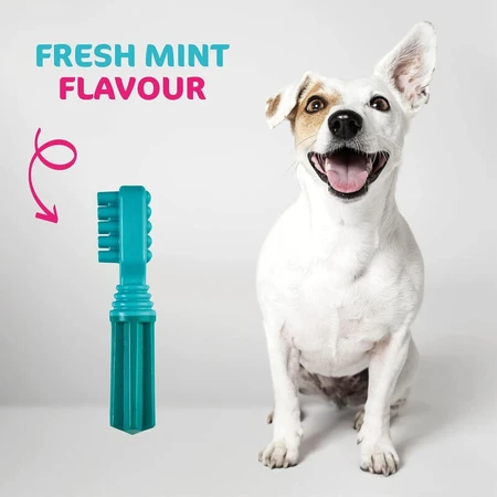 Tasty Bone Tasty Bone – Kausnack für Hunde mit frischem Minzgeschmack