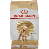 Royal Canin Poodle Adult - Complete Food for Adult Poodles, 7.5 kg