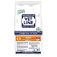 Vet Line Small Breed Adult Fish Flavor - Complete Dog Food, 3 kg