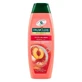 Palmolive Naturals Hydra Balance - Shampooing et après-shampooing 350 ml