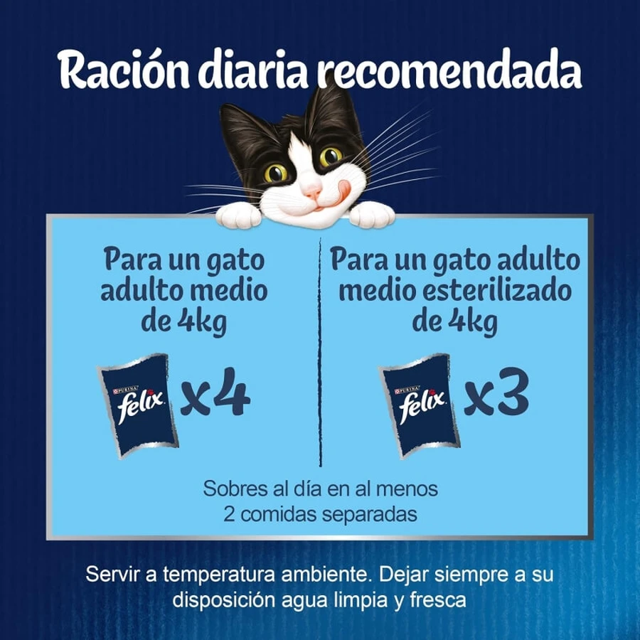 Purina Felix Snacks met kip, rundvlees, zalm en tonijn – Volledig voer voor volwassen katten, 44 x 85 g