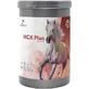 Equality H.c.k.plus - Complemento alimenticio para caballos, potros y ponis, 900 g