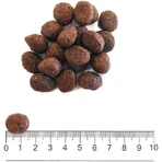 Prolife Grain-Free Medium-Large Beef & Potatoes - Complete Food for Sensitive Adult Dogs, 10 kg