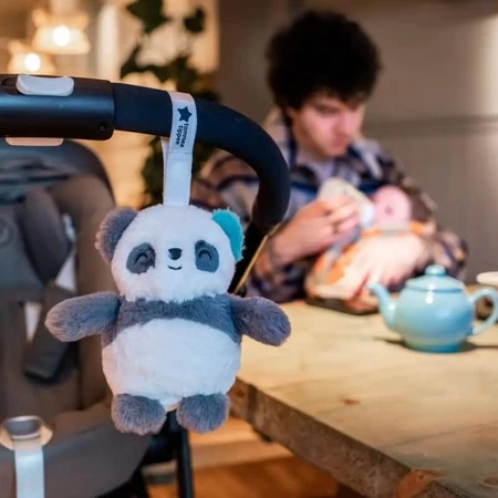 Tommee Tippee Minigrofriend Pip the Panda - Sleepy Toy