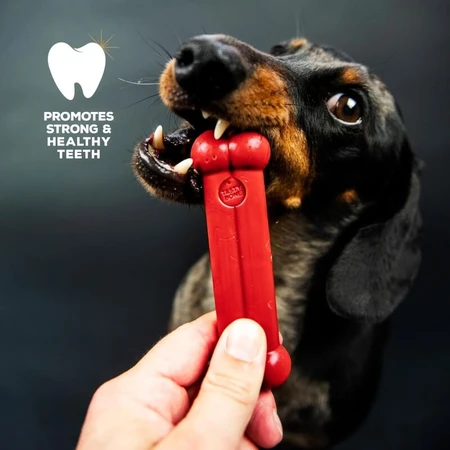 Tasty Bone Tasty Bone – Knochenspielzeug mit Rindfleischgeschmack für Welpen