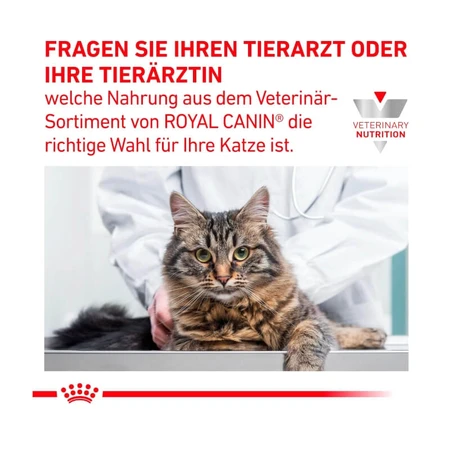 Royal Canin Gastrointestinal Kitten – Diätfutter für Kätzchen mit Darmbeschwerden, 2 kg