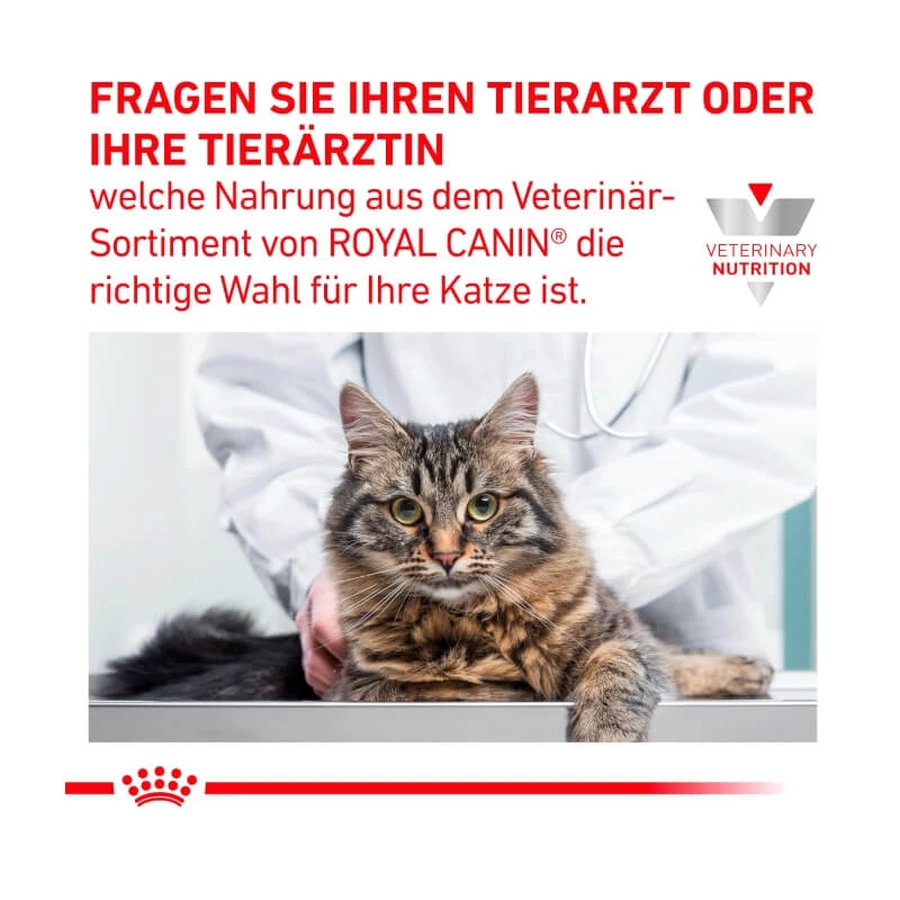 Royal Canin Gastrointestinal Kitten – Diätfutter für Kätzchen mit Darmbeschwerden, 2 kg