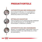 Royal Canin Gastrointestinal Kitten – Diätfutter für Kätzchen mit Darmbeschwerden, 2 kg