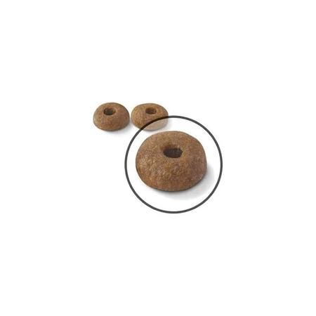 Royal Canin Care Digestive - Alimento completo para gatos adultos con digestión sensible, 400 g