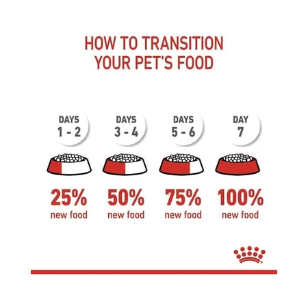 Royal Canin Care Digestive - Alimento completo para gatos adultos con digestión sensible, 400 g