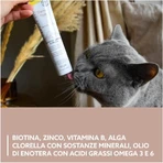 Gimborn Gimcat Derma Paste Nutritive Formula - Supplementary Paste for Cat Skin and Coat, 50 g