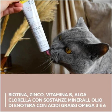 Gimborn Gimcat Derma Paste Nutritive Formula - Supplementary Paste for Cat Skin and Coat, 50 g