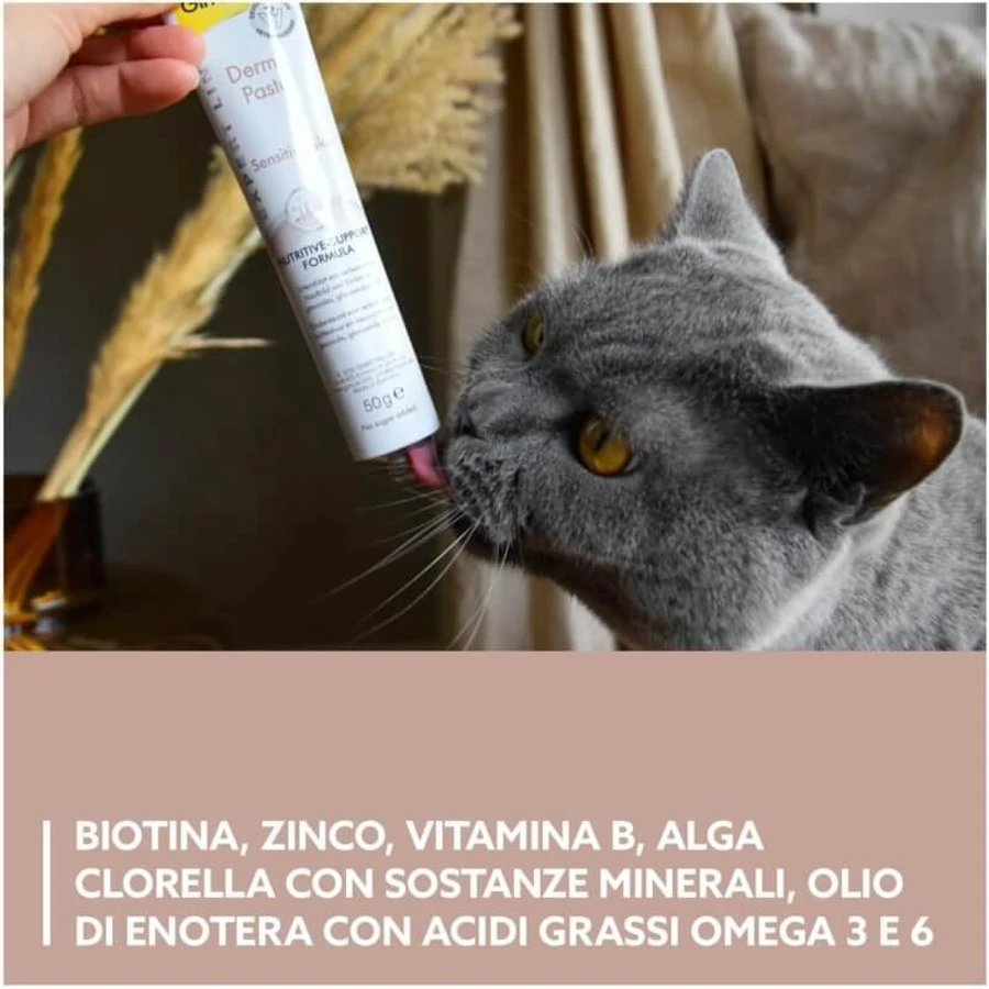 Gimborn Gimcat Derma Paste Nutritive Formula - Supplementary Paste for Cat Skin and Coat, 50 g