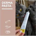 Gimborn Gimcat Derma Paste Nutritive Formula - Supplementary Paste for Cat Skin and Coat, 50 g