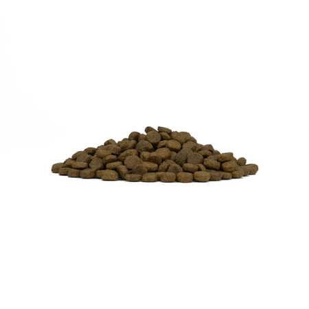 Forza10 Forza 10 Maintenance Puppy Medium Maxi Chicken - Complete Food for Medium and Large Breed Puppies, 12 kg
