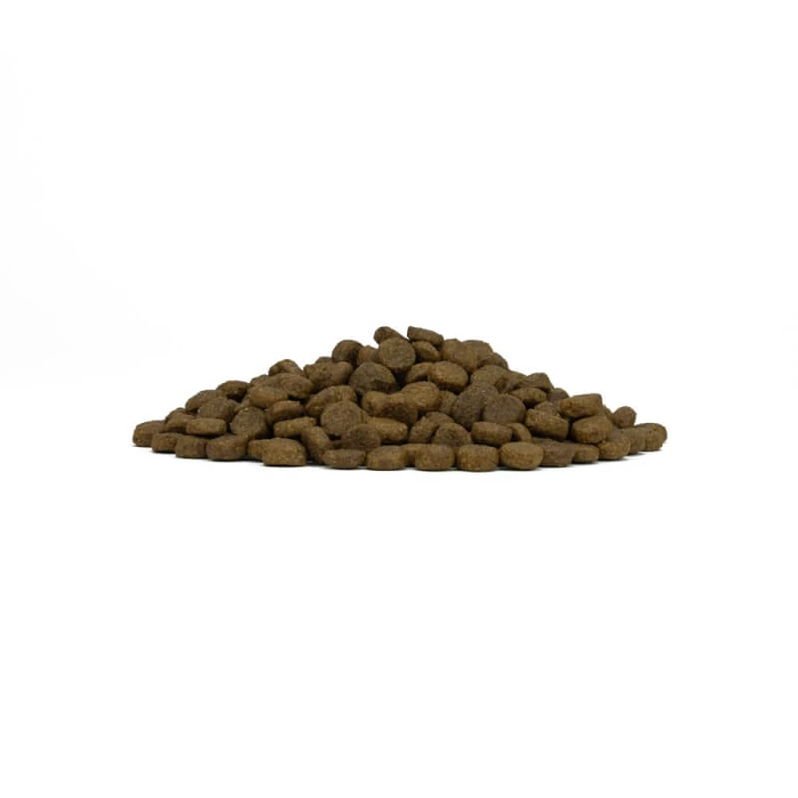 Forza10 Forza 10 Maintenance Puppy Medium Maxi Chicken - Complete Food for Medium and Large Breed Puppies, 12 kg