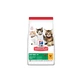 Hill's Science Plan Kitten Chicken - Dry Food for Kittens and Cats, 300 g