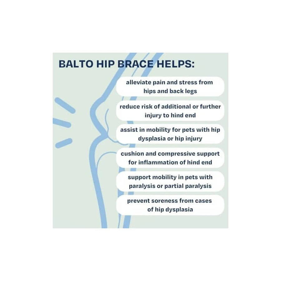 Balto Life - Attelle pour dysplasie de la hanche, taille S