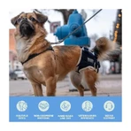 Balto Life - Attelle pour dysplasie de la hanche, taille S