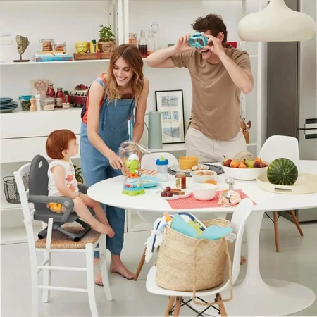Chicco Pocket Snack - Chair Booster Seat, Dark Gray