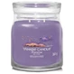Yankee Candle Stargazing - Bougie parfumée Signature, format moyen, 368 g
