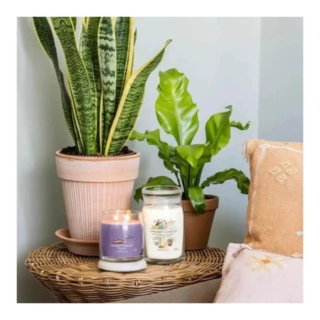 Yankee Candle Stargazing - Bougie parfumée Signature, format moyen, 368 g