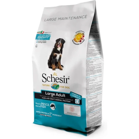 Schesir Large Maintenance, saveur poisson, pour chiens adultes de grande taille - Aliment complet pour chiens adultes de grande taille, 12 kg