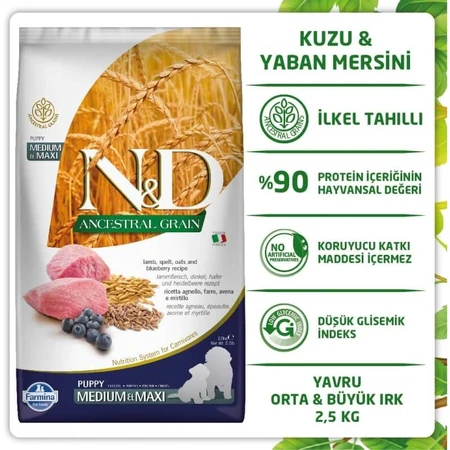 Farmina N&amp;d Ancestral Grain Puppy Medium &amp; Maxi con cordero y arándanos - Pienso completo para perros, 2,5 kg