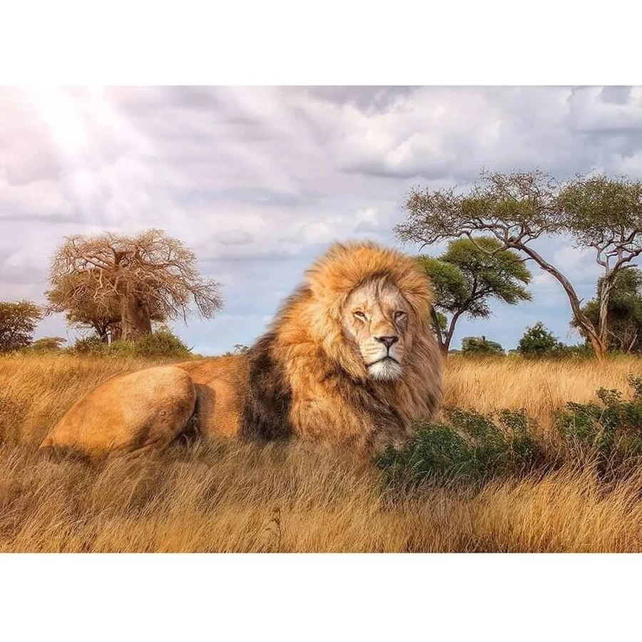 Clementoni „The King“ – 1.000-Teile-Puzzle für Erwachsene