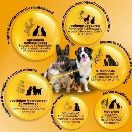 Camon Struvipet Plus – Nahrungsergänzungsmittel für Hunde und Katzen, 60 Tabletten